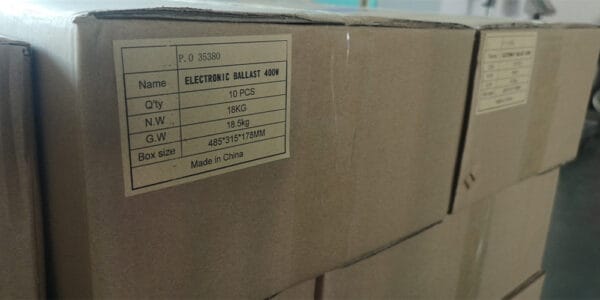 Electronic ballast for HID lamps package carton